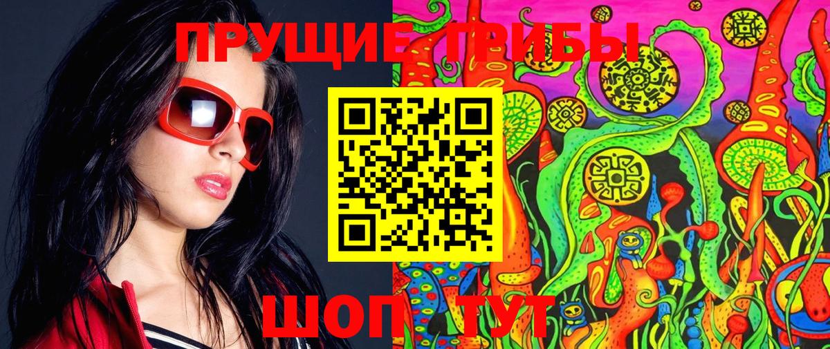 Галлюциногенные грибы Psilocybe  Вход с VPN  наркотики  Димитровград 