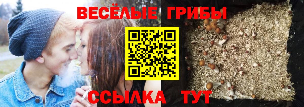Псилоцибиновые грибы MAGIC MUSHROOMS Димитровград